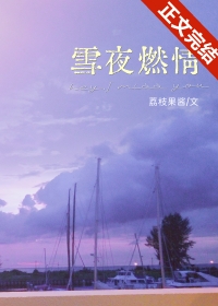 小说《雪夜》